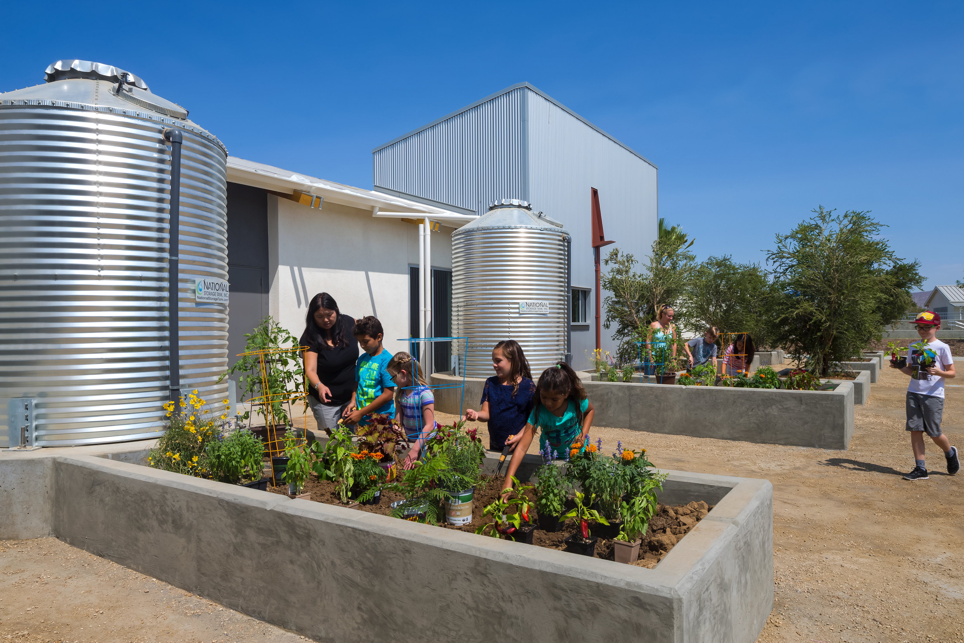Wellness architecture design is apparent in the Clearwater Elementary Gardens space. 