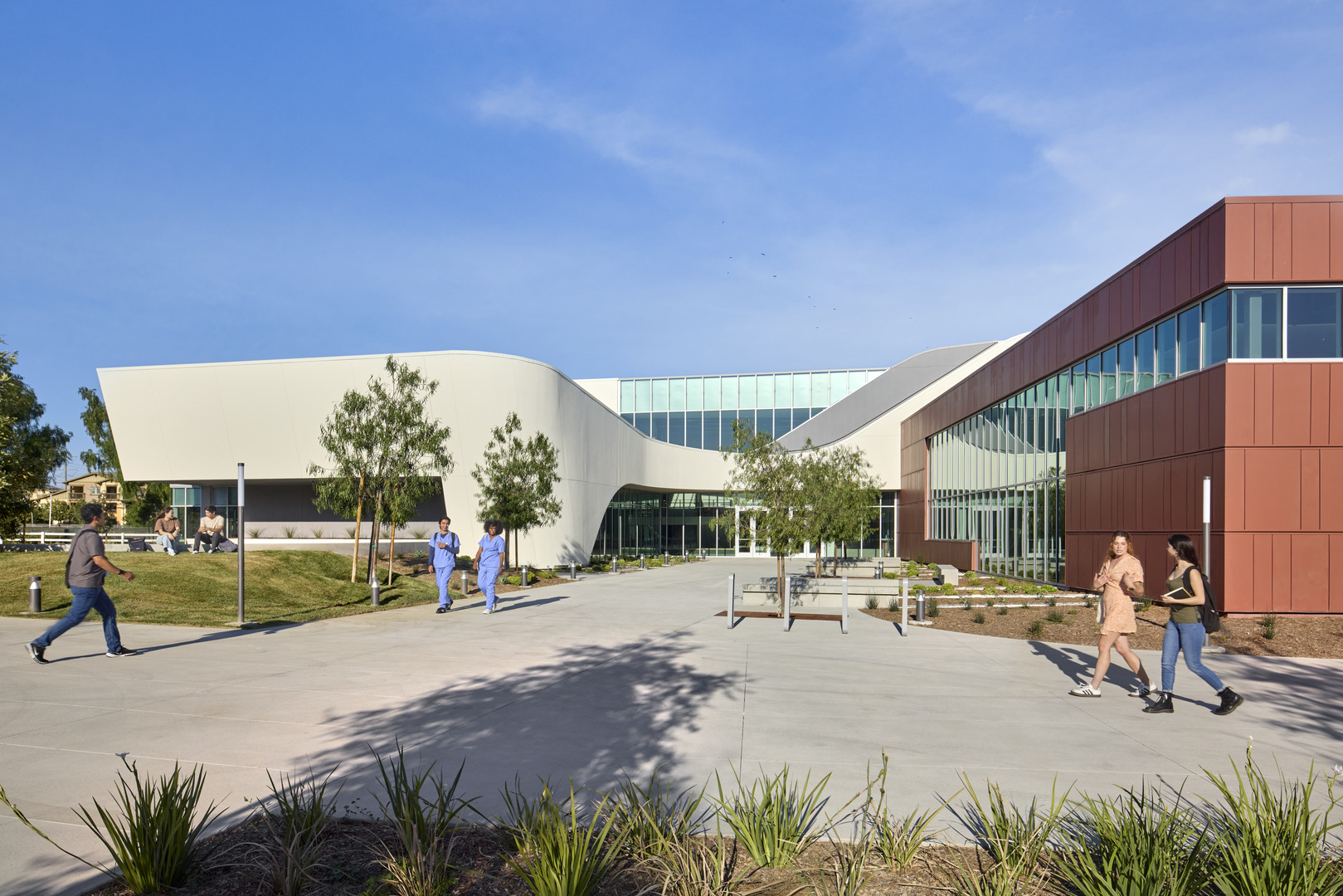 This text will be IGNORED!