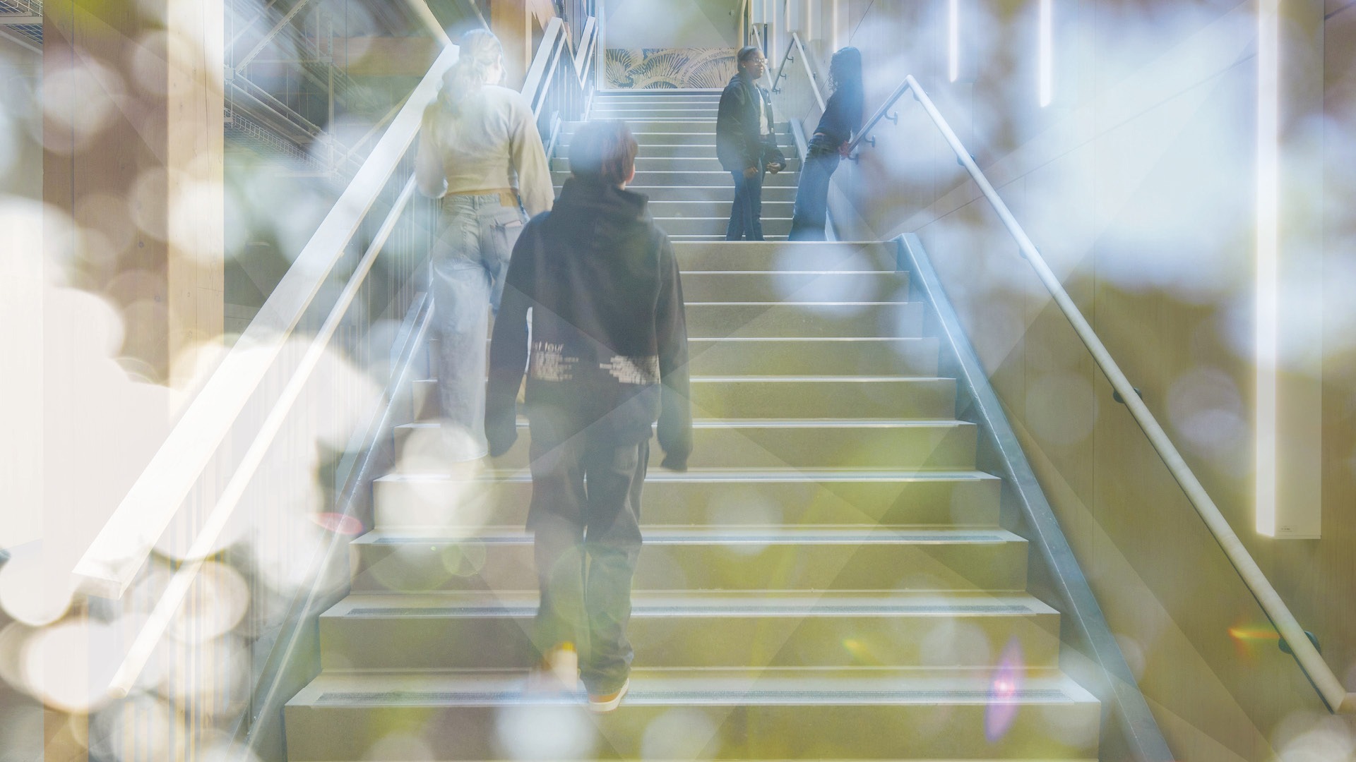 Download the Book, Architecture of Healing