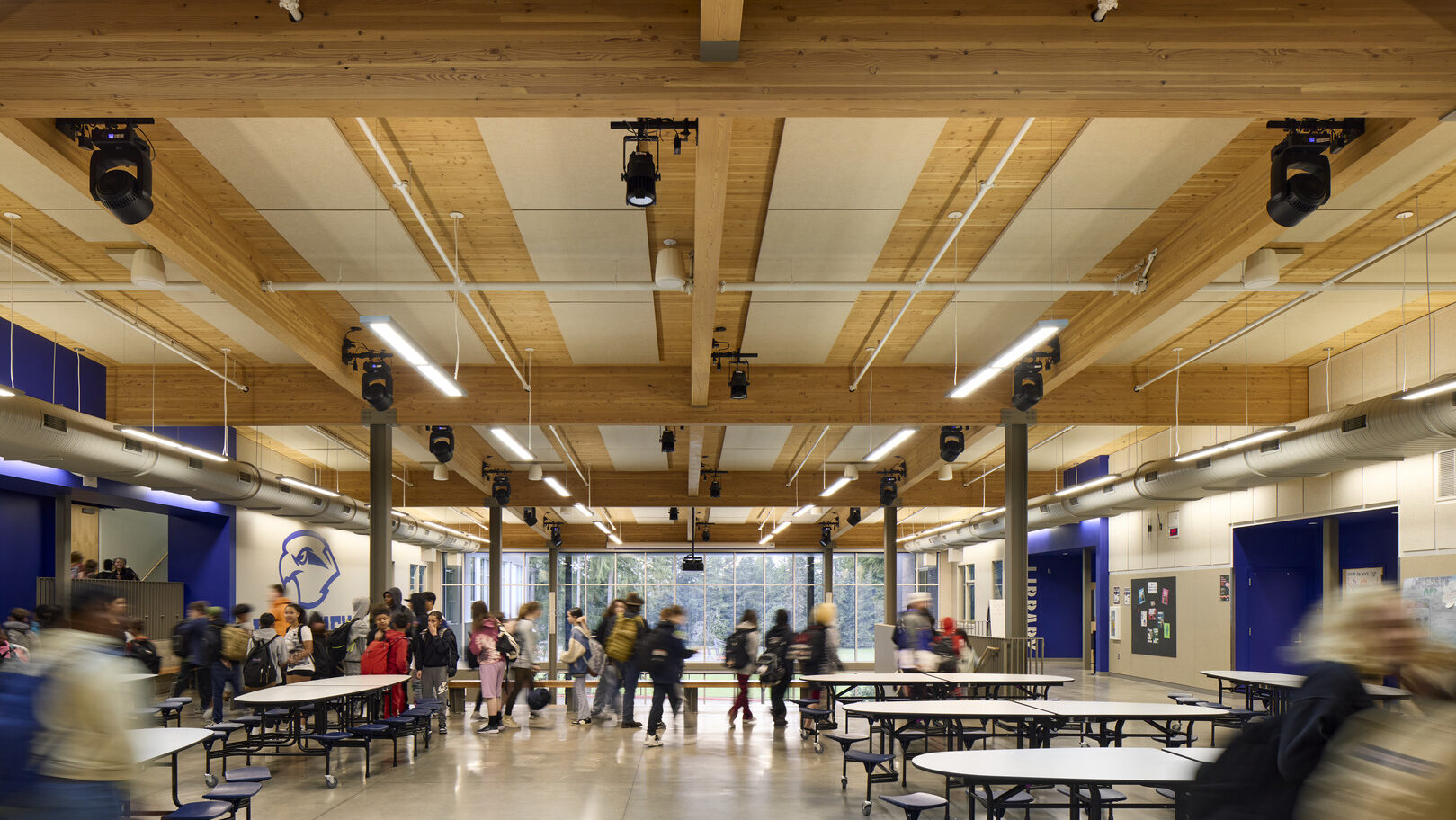 This text will be IGNORED!