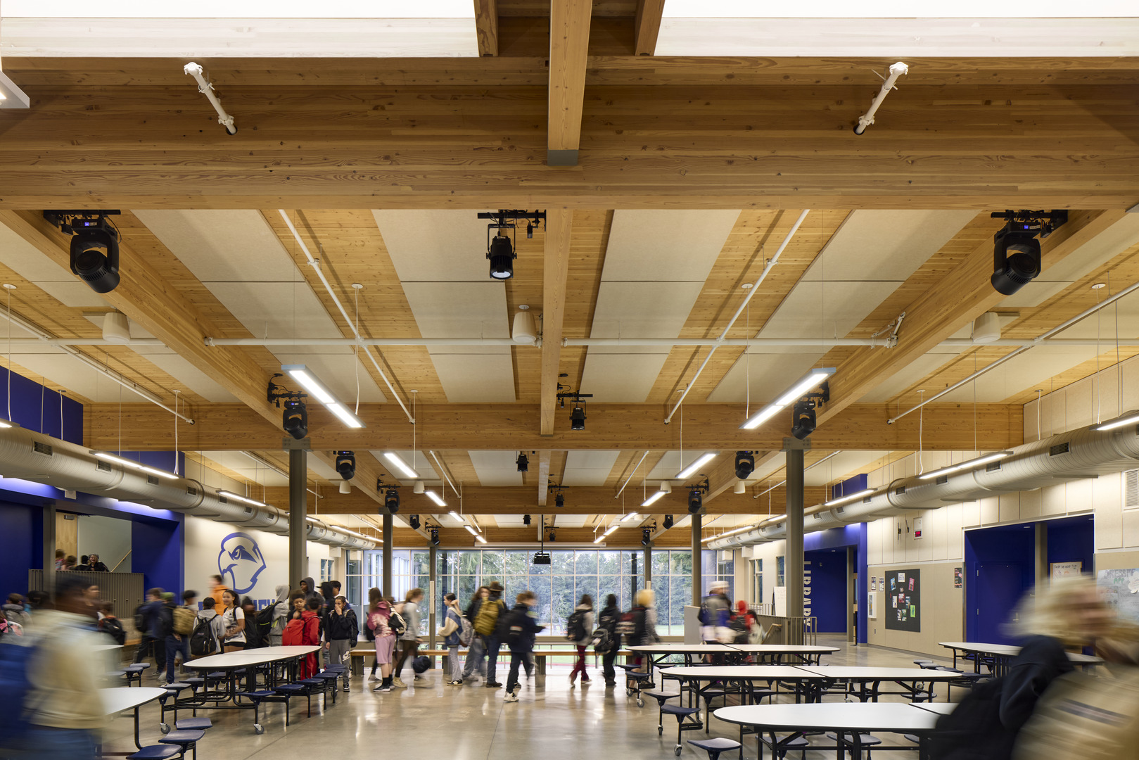 This text will be IGNORED!