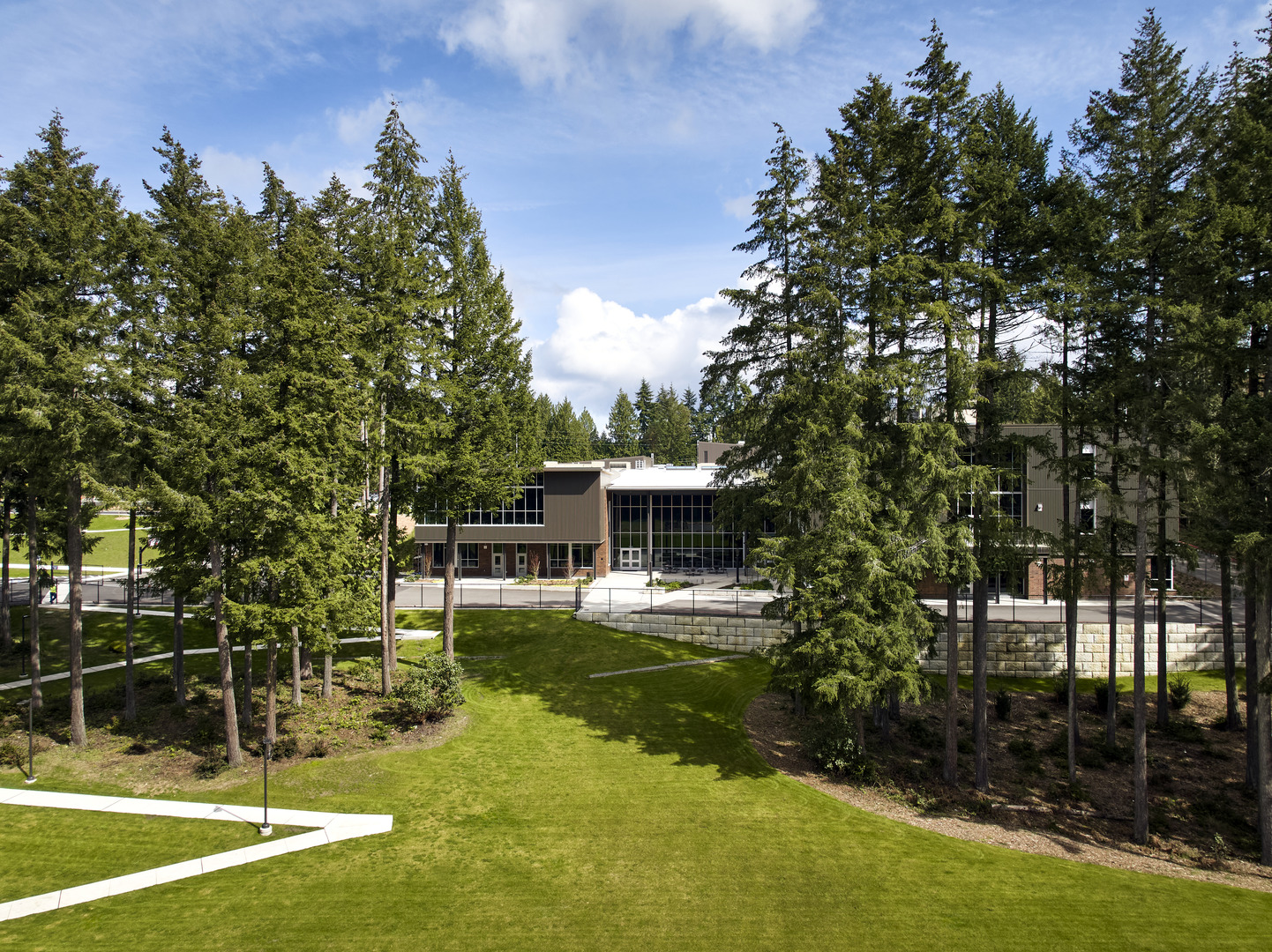 This text will be IGNORED!